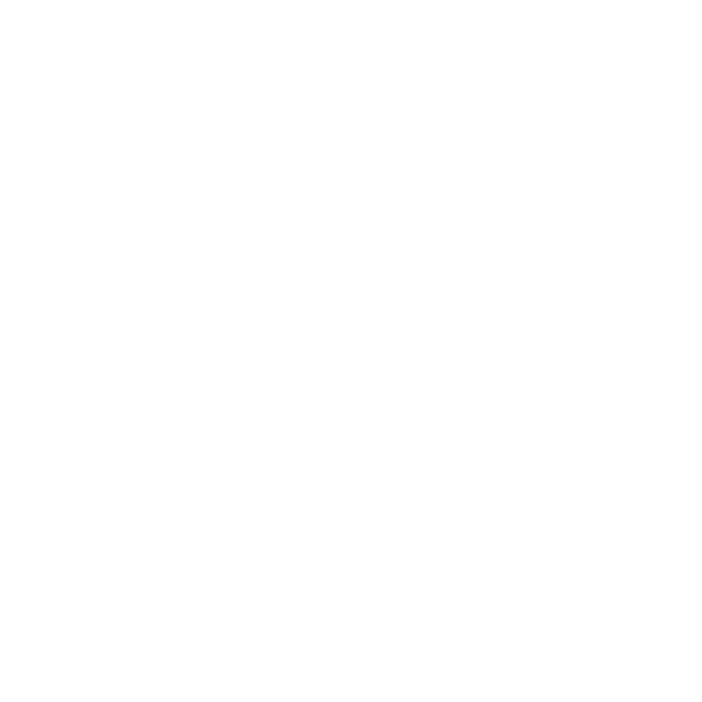 B2S